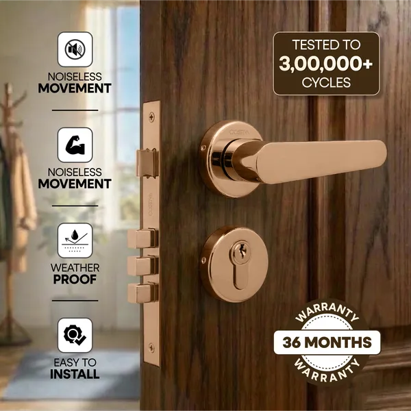 Rose_Gold_Zinc_Alloy_&_Stainless_Steel_Mortise_Handles_&_Door_Locks_Handles