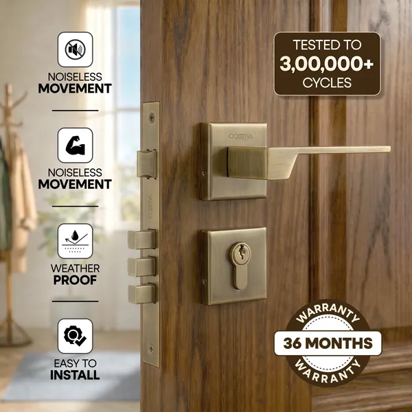 Brass_Gold_Zinc_Alloy_&_Stainless_Steel_Mortise_Handles_&_Door_Locks_Handles