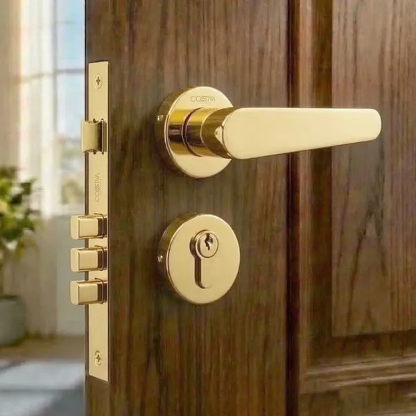 Gold_Zinc_Alloy_&_Stainless_Steel_Mortise_Handles_&_Door_Locks_Handles