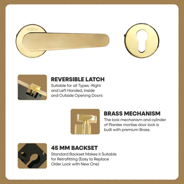 Gold_Zinc_Alloy_&_Stainless_Steel_Mortise_Handles_&_Door_Locks_Handles