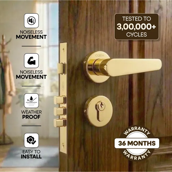 Gold_Zinc_Alloy_&_Stainless_Steel_Mortise_Handles_&_Door_Locks_Handles