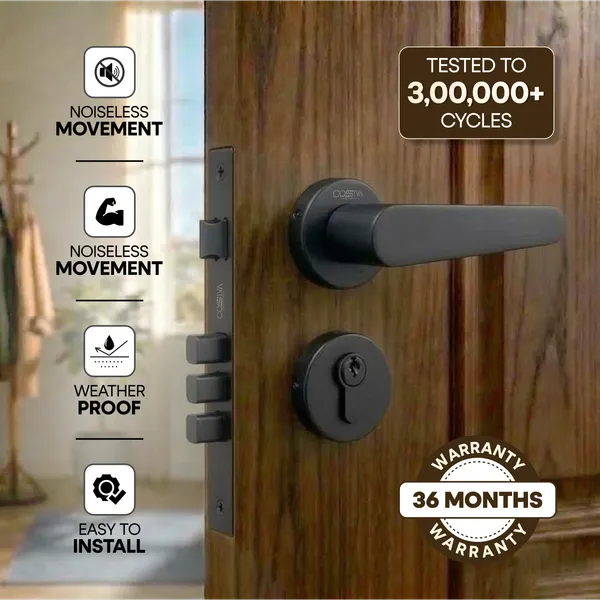 Black_Zinc_Alloy_&_Stainless_Steel_Mortise_Handles_&_Door_Locks_Handles
