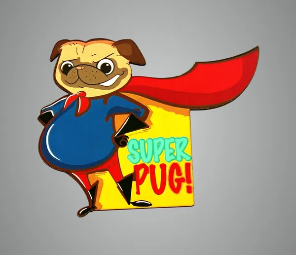 Multicolour_Fridge_Magnet_For_Pug_Lovers