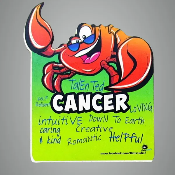 Multicolour_Fridge_Magnet_For_Zodiac_Fans