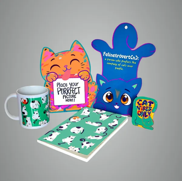 Multicolour_Mixed_Gift_Combo_For_Cat_Lovers
