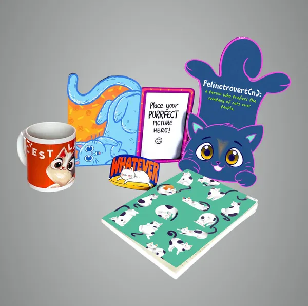 Multicolour_Mixed_Gift_Combo_For_Cat_Lovers