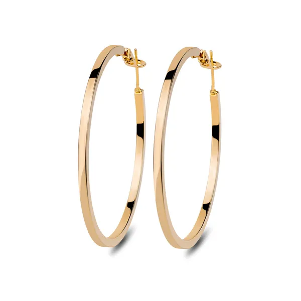Silver_And_Gold_Premium_Earrings_For_Women
