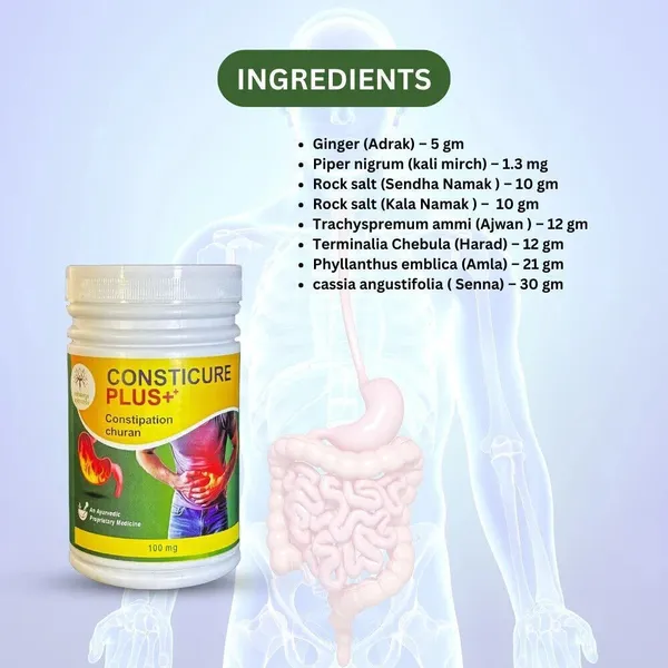 Healthy_And_Balanced_Digestive_System_Naturally_Consticure_Plus