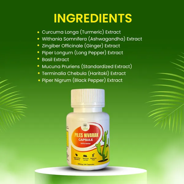 Support_Improved_Metabolism,_Better_Digestion,_And_Enhanced_Immunity_Piles_Nivarak_Capsule