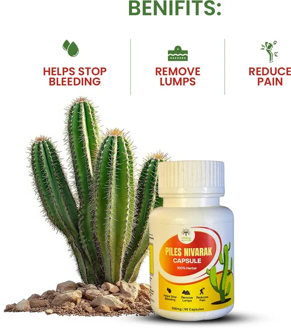 Support_Improved_Metabolism,_Better_Digestion,_And_Enhanced_Immunity_Piles_Nivarak_Capsule