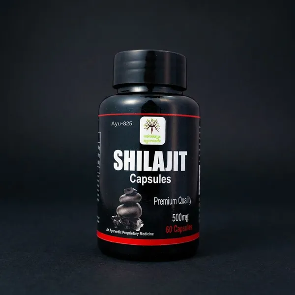 Shilajit_Capsules,_500Mg_Premium_Quality_Ayurvedic_Supplement_For_Strength