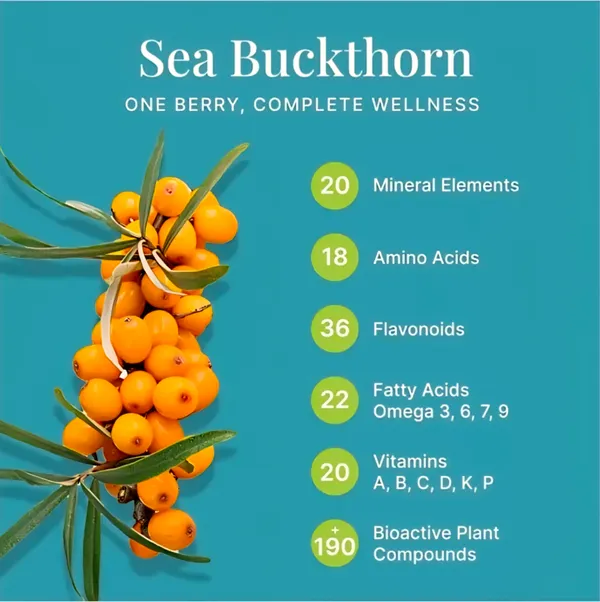 General_Wellness_Seekers_Shri_Sea_Buckthorn_Tonic_Juice