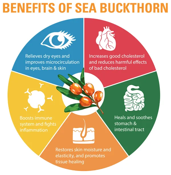 General_Wellness_Seekers_Shri_Sea_Buckthorn_Tonic_Juice