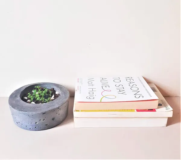 Black_And_White_Jade_Concrete_Succulent_Planter_|_13.7W_X_4.5H_Cm