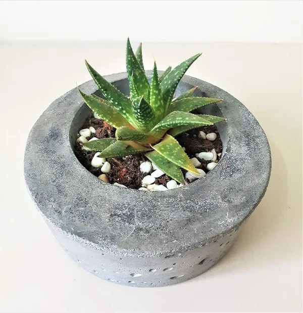 Black_And_White_Jade_Concrete_Succulent_Planter_|_13.7W_X_4.5H_Cm
