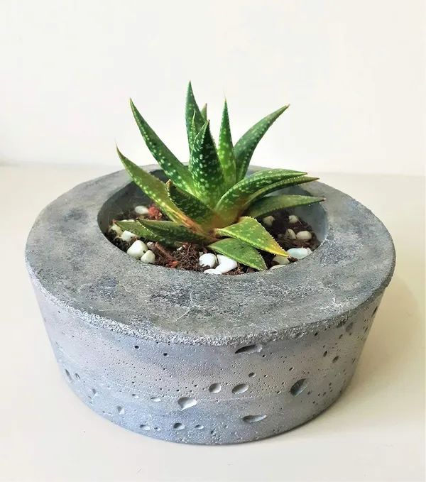 Black_And_White_Jade_Concrete_Succulent_Planter_|_13.7W_X_4.5H_Cm
