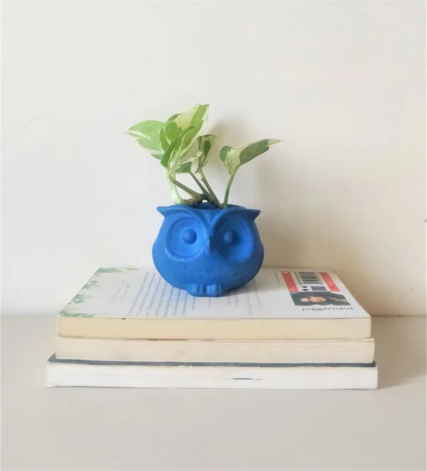 Bubo_The_Owl_Concrete_Succulent_Planter_|_Blue_|_6.35H_X_6.35W_Cm