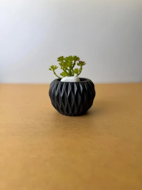 Gymno_Concrete_Succulent_Planter_|_Black_|_7H_X_7W_Cm