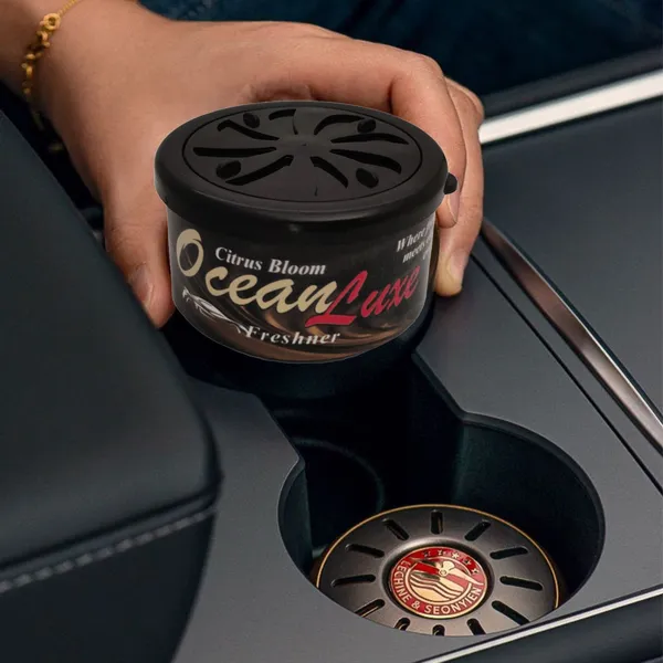 Car_Air_Freshner_Portable_Car_Air_Purifier_(Pack_Of_2)
