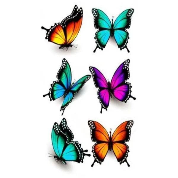 Multicolor_Transfer_Ink_Premium_Sticker_Decal_For_Men_And_Women_Pack_Of_3
