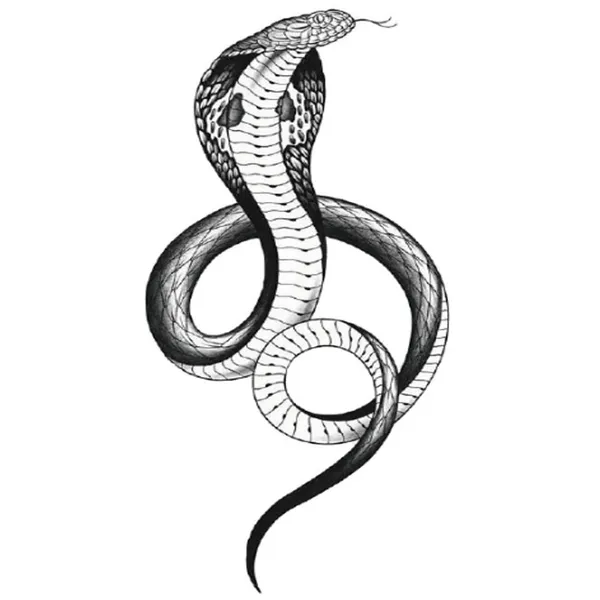 Black_Skin_Safe_Tattoo_Paper_Premium_Temporary_Tattoo_For_Men_And_Women_Pack_Of_2