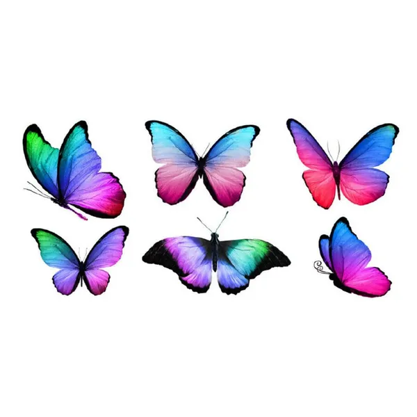 Multicolor_Skin-Safe_Ink_Premium_Sticker_Decal_For_Men_And_Women_Pack_Of_2