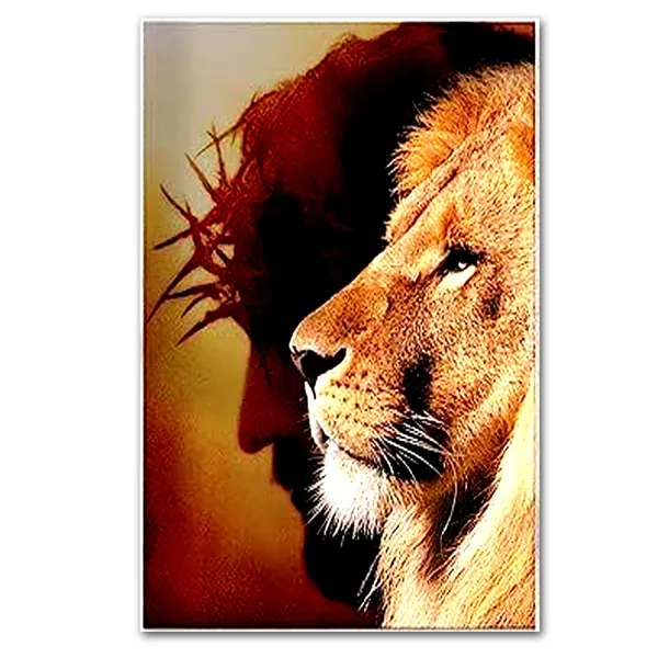 Multicolor_Vinyl_(300Gsm)_Premium_Sticker_Decal_For_Home_Decor_Pack_Of_1