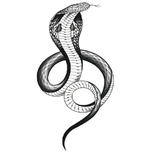 Black_Cobra_Snake_Real_Temporary_Tattoo_pack_of_2