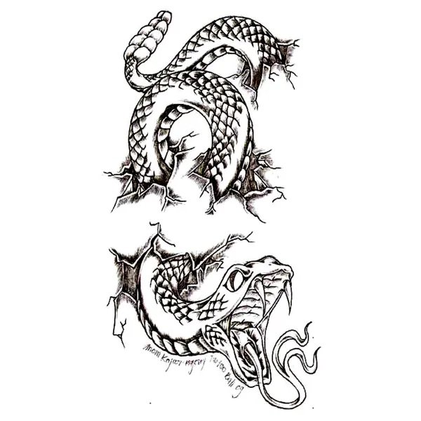 Black_Dragon_Temporary_Tattoo_pack_of_2