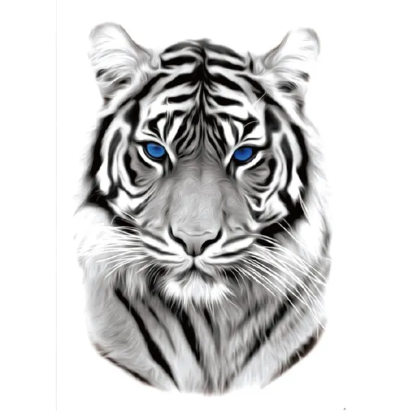Danger_Tiger_Black_Design_Temporary_Tattoo_pack_of_2