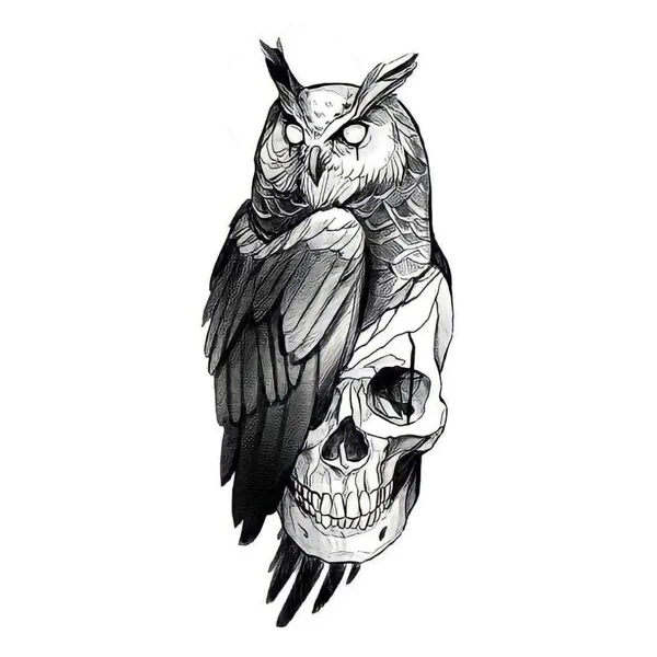 Famous_Skull_with_Owl_Black_Temporary_Tattoo_pack_of_2
