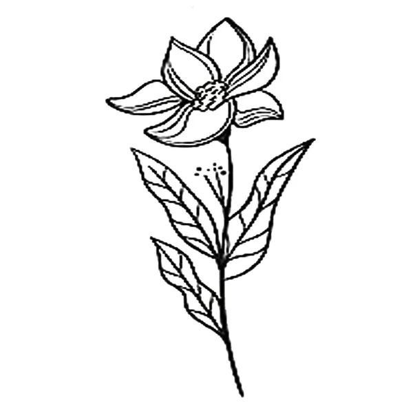Flower_Black_leaf_Design_Temporary_Tattoos_Pack_Of_2