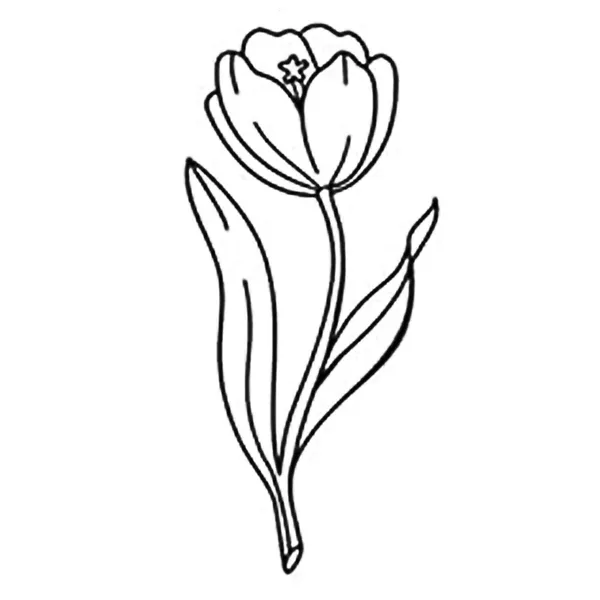 Flower_Lineart_Design_Temporary_tattoo_Pack_of_2