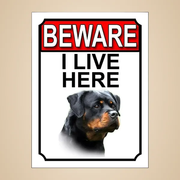 Multicolor_Plastic_Premium_Sticker_Decal_For_Home_Gate_Pack_Of_1