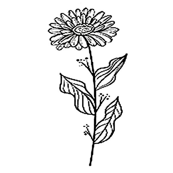 Marigold_Flower_Design_Temporary_Tattoo_Pack_of_2