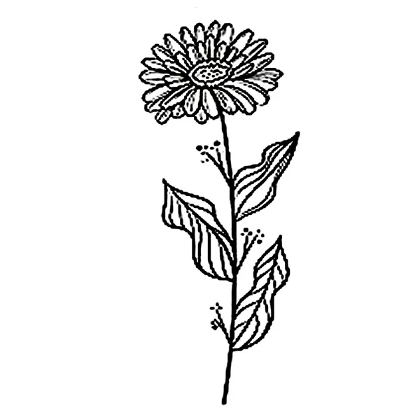 Marigold_Flower_Design_Temporary_tattoo_Pack_of_2