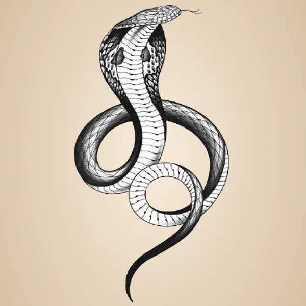 Black_Skin_Safe_Tattoo_Paper_Premium_Temporary_Tattoo_For_Men_And_Women_Pack_Of_2