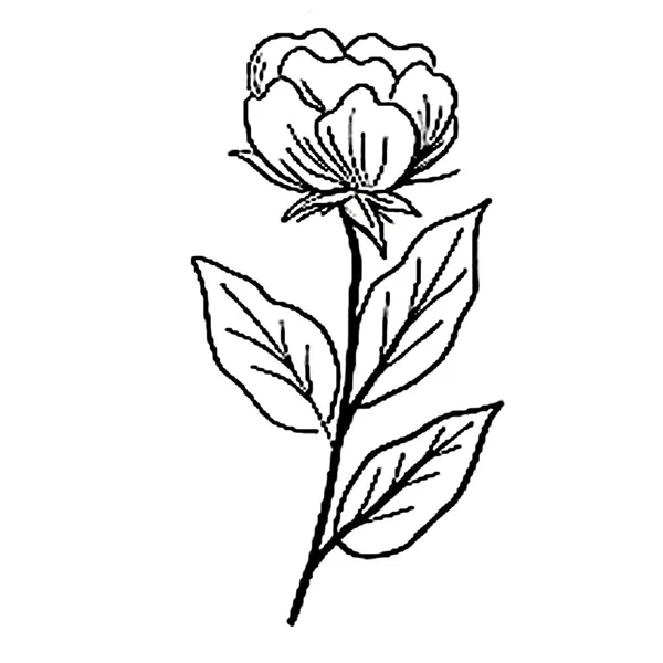 Rose_Leaf_Black_Design_Temporary_tattoo_Pack_Of_2