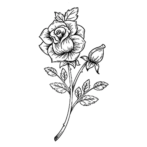 Rose_Leaf_Design_Temporary_Tattoo_Pack_Of_2