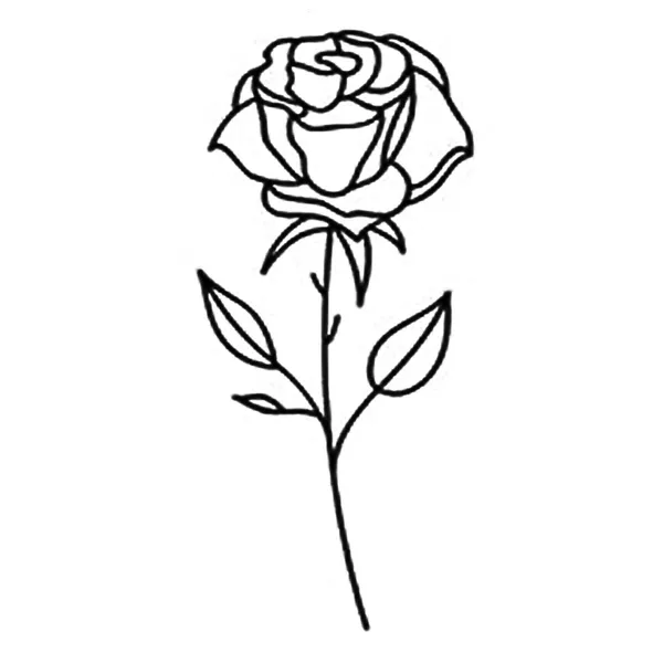 T_211