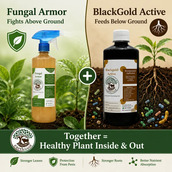 Plant_Protection_Combo_|_Fungal_Armor_+_BlackGold_Active_|_Soil_Booster_&_Disease_Shield_|_Pack_of_2_(500ml_each)