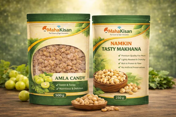 Namkeen_Testy_Makhana_And_Amla_Candy_Pack_Of_2