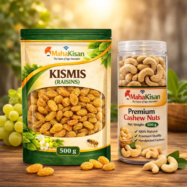 Raisins_(Kismis)_And_Cashews_(Kaju)_Pack_Of_2