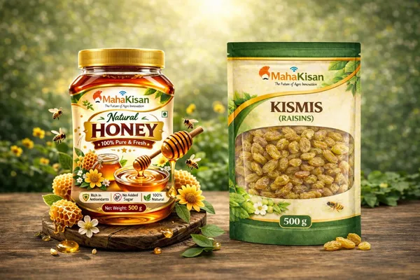 Raisins_(Kismis)_And_Natural_Honey_Pack_Of_2