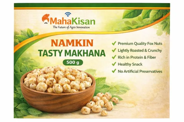 Namkeen_Testy_Makhana_And_Amla_Candy_Pack_Of_2
