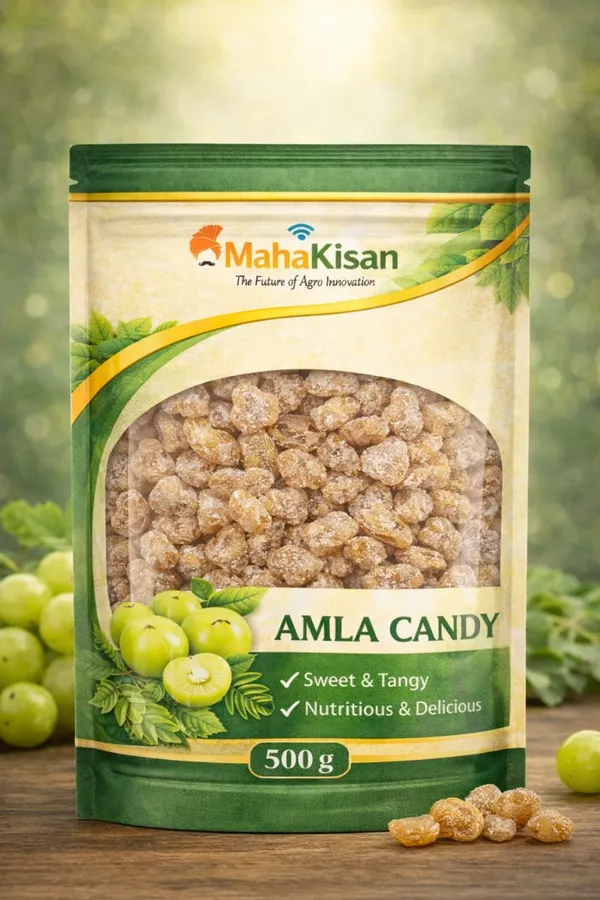 Namkeen_Testy_Makhana_And_Amla_Candy_Pack_Of_2