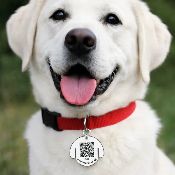 DOG_TAG_06