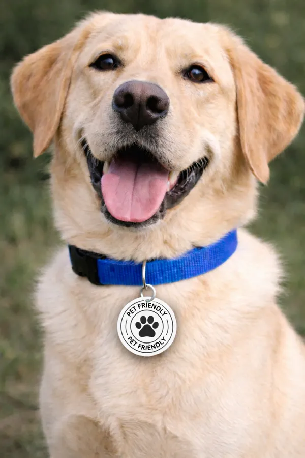 PET_TAG_02