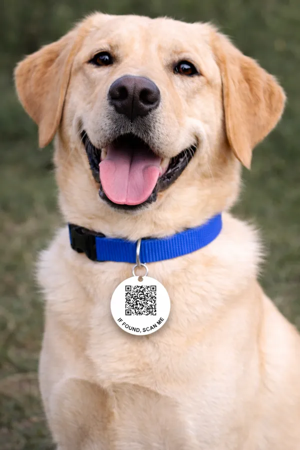 PET_TAG_04
