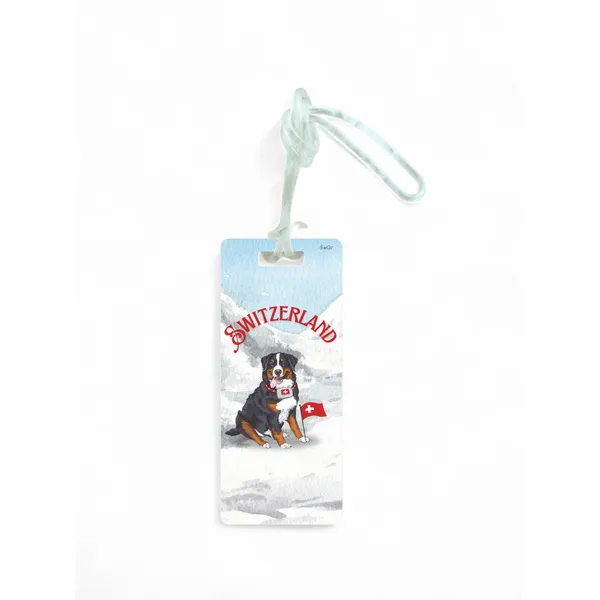 SWITZERLAND_BAG_TAG_03